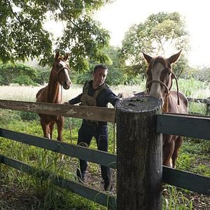 Bilder Alex O'Loughlin