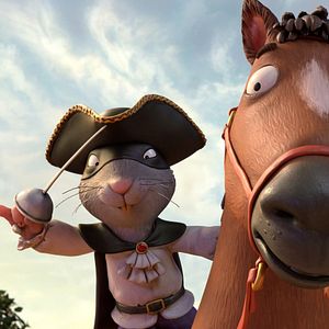 Bilder Räuber Ratte