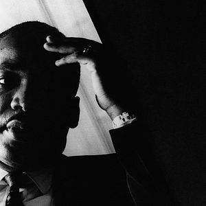 Bilder King in the Wilderness