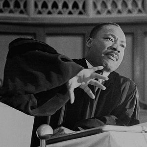 Bilder King in the Wilderness