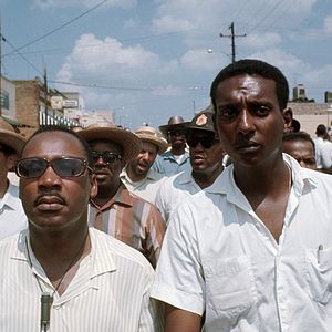 Bilder King in the Wilderness