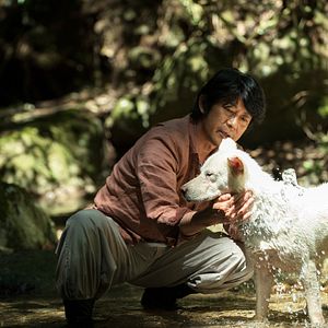 Bilder Die Blüte des Einklangs