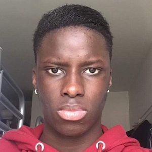 Bilder Najeto Injaï