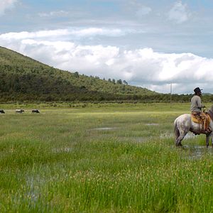 Bilder Nuestro Tiempo