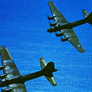 Bilder The Cold Blue