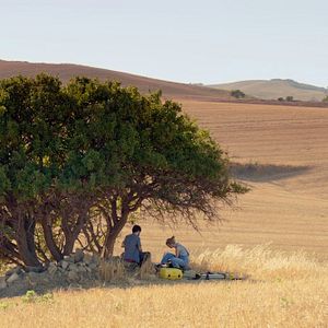 Bilder Troppa Grazia