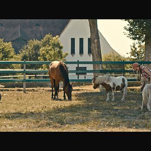 Bilder Ella Päffgen