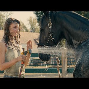 Bilder Leia Holtwick