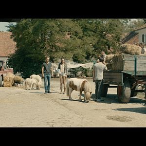 Bilder Immenhof - Das Abenteuer eines Sommers