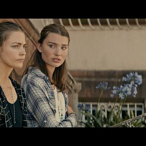 Bilder Leia Holtwick