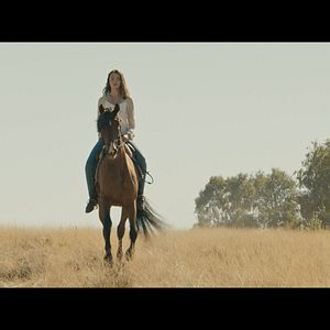 Bilder Leia Holtwick