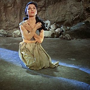 Bilder Das indische Grabmal