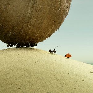 Bilder Die Winzlinge - Abenteuer in der Karibik