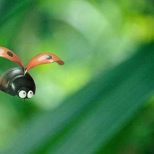 Bilder Die Winzlinge - Abenteuer in der Karibik