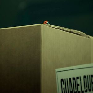 Bilder Die Winzlinge - Abenteuer in der Karibik