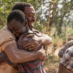 Bilder Maxwell Simba