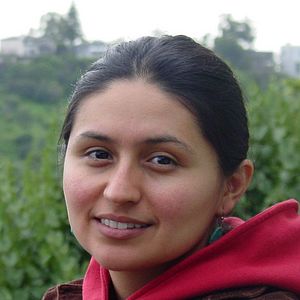 Bilder Cristina Ibarra