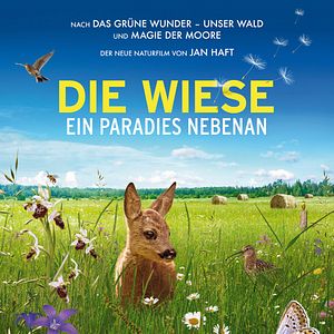 Bilder Die Wiese - Ein Paradies nebenan