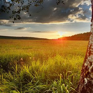Bilder Die Wiese - Ein Paradies nebenan