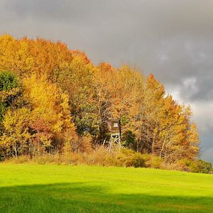 Bilder Die Wiese - Ein Paradies nebenan