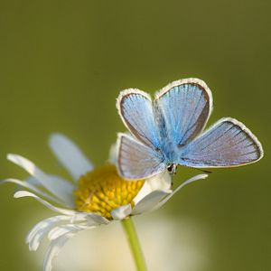 Bilder Die Wiese - Ein Paradies nebenan