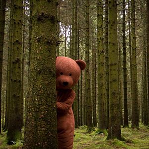 Bilder Trop Belge pour toi