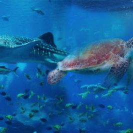 Bilder The Wild Immersion