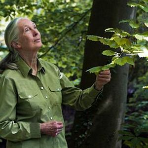 Bilder The Wild Immersion