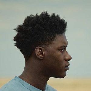 Bilder The Last Tree