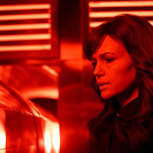 Bilder Elizabeth Harvest