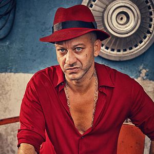 Bilder Organize Isler 2: Sazan Sarmali