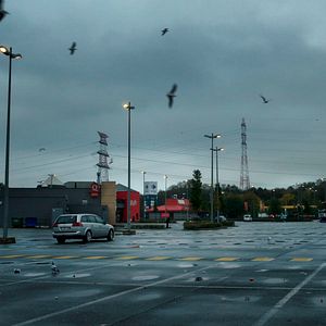 Bilder Rêver sous le capitalisme