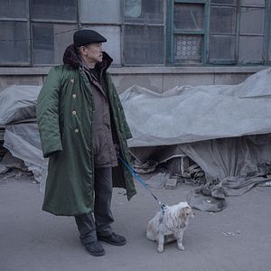 Bilder An Elephant Sitting Still