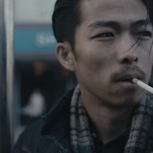 Bilder An Elephant Sitting Still