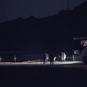 Bilder An Elephant Sitting Still