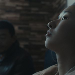 Bilder An Elephant Sitting Still