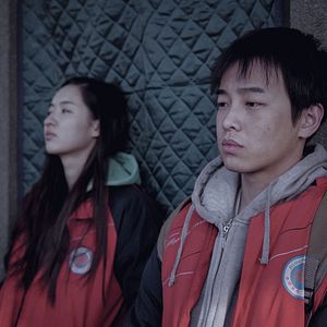 Bilder An Elephant Sitting Still