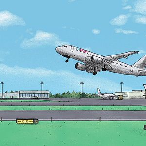 Bilder Ariol prend l’avion (et autres têtes en l’air)