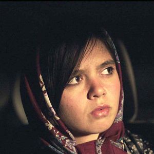 Bilder Marziyeh Rezaei