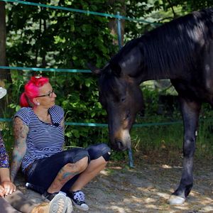 Bilder Stiller Kamerad