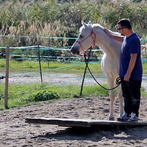Bilder Stiller Kamerad