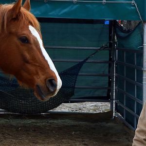 Bilder Stiller Kamerad