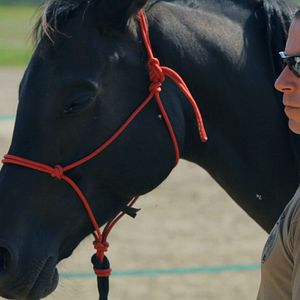 Bilder Stiller Kamerad