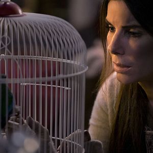 Bilder Sandra Bullock