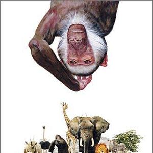 Bilder Die lustige Welt der Tiere