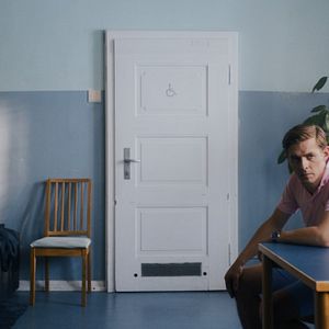 Bilder Die Goldfische