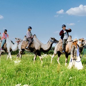 Bilder Jan Henrik Stahlberg