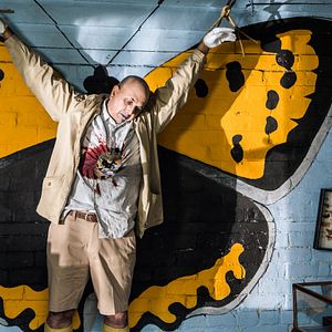 Bilder Inspector Barnaby