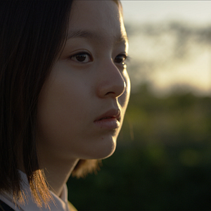 Bilder House Of Hummingbird