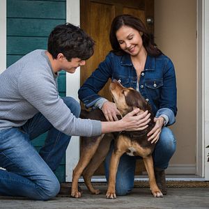 Bilder Die unglaublichen Abenteuer von Bella